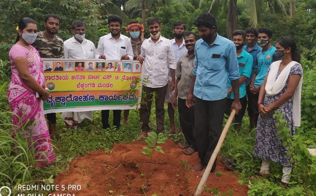 ಕೊಕ್ಕಡದಲ್ಲಿ ವೃಕ್ಷಾರೋಪಣ ಕಾರ್ಯಕ್ರಮ