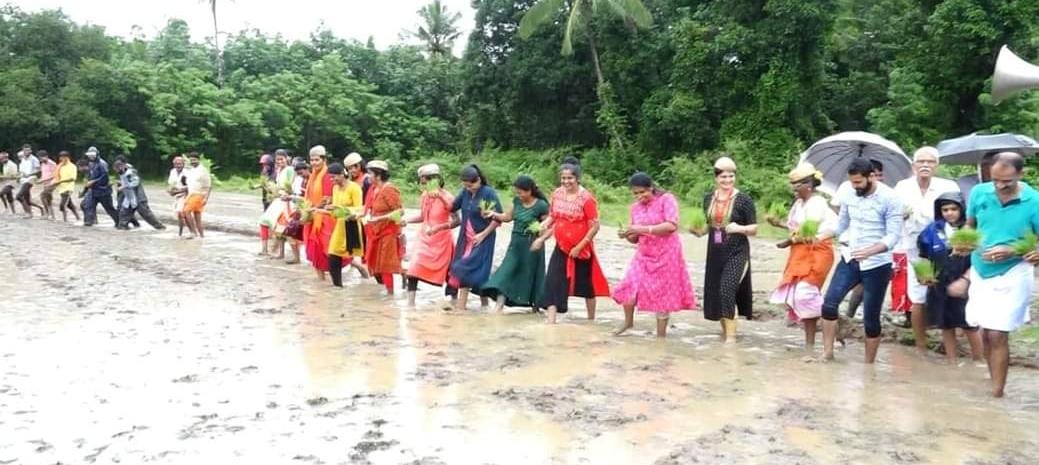 ‘ಕೆಸರ್ಡ್ ಒಂಜಿ ದಿನ-ನೇಜಿ ನಡ್ಪುನ ಕಜ್ಜ’