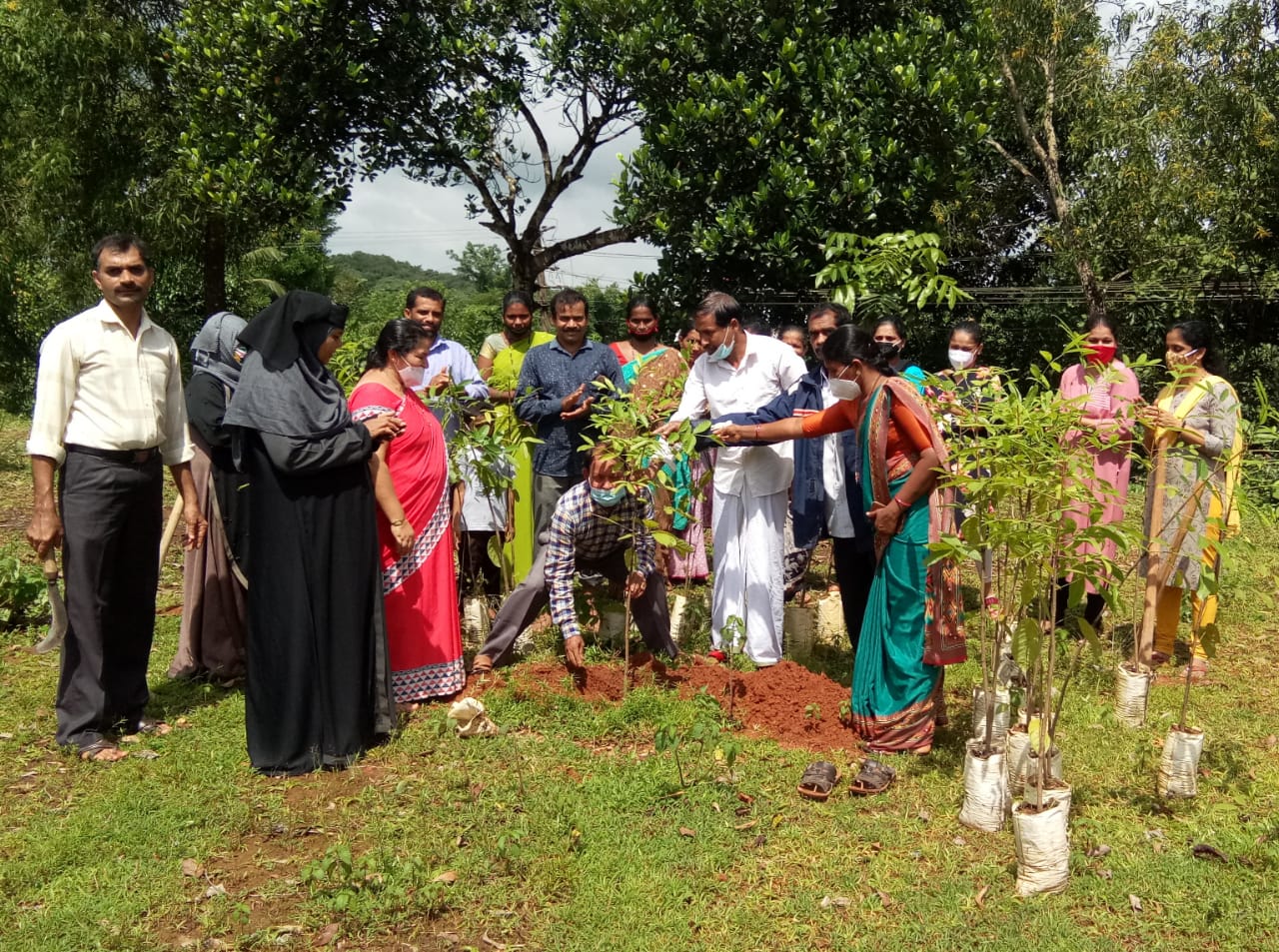 ಕುವೆಟ್ಟು ಶಾಲೆಯಲ್ಲಿ ಸಸಿ ನೆಡುವ ಕಾರ್ಯಕ್ರಮ