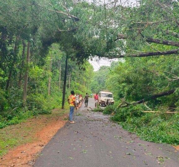 ವಿದ್ಯುತ್ ಟವರ್ ಮೇಲೆ ಉರುಳಿ ಬಿದ್ದ ಮರ