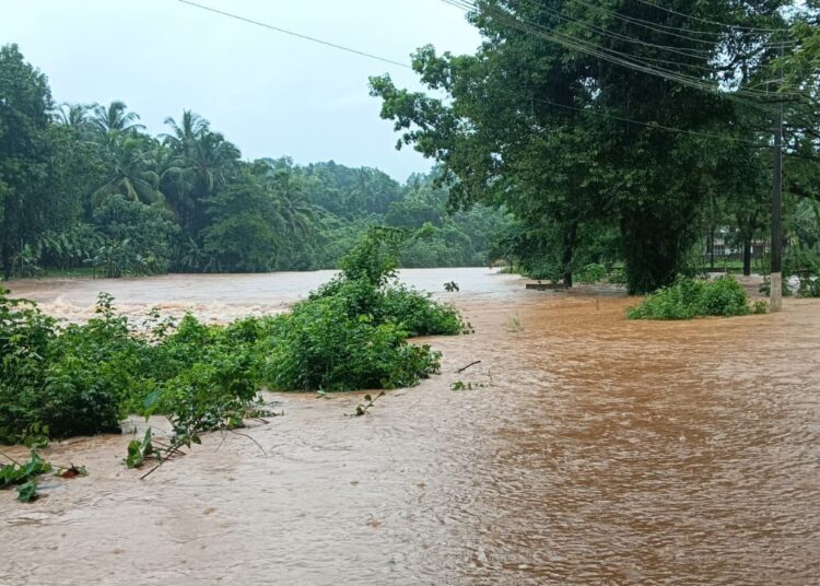 ಜಡಿಮಳೆಗೆ ಅಪಾರ ಹಾನಿ : ಕಂಗಾಲಾದ ಜನತೆ